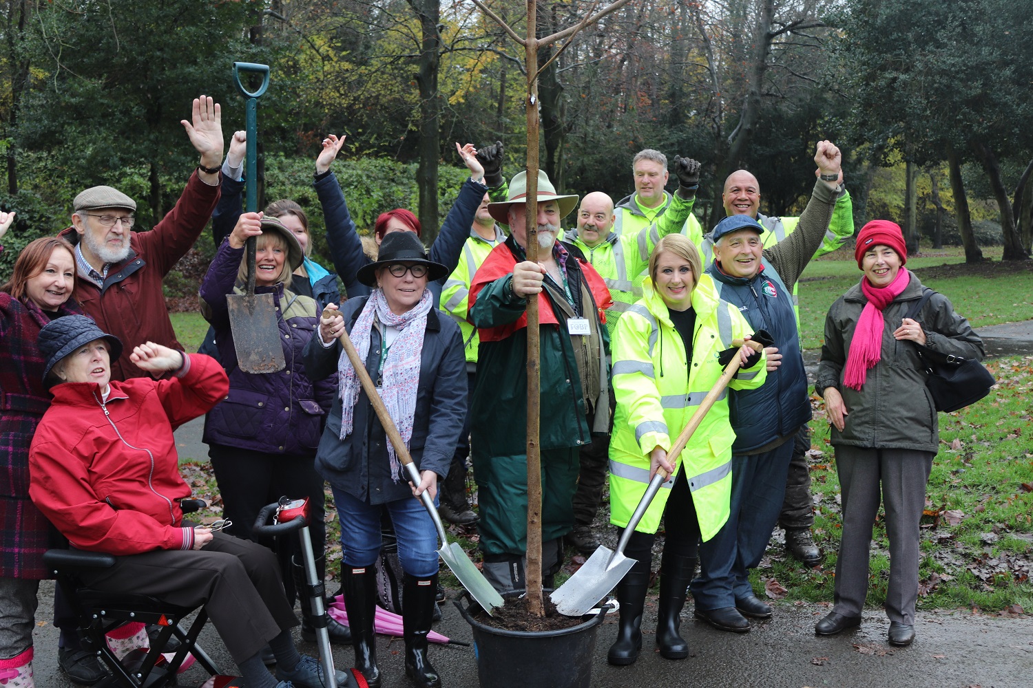 Photo of tree planting