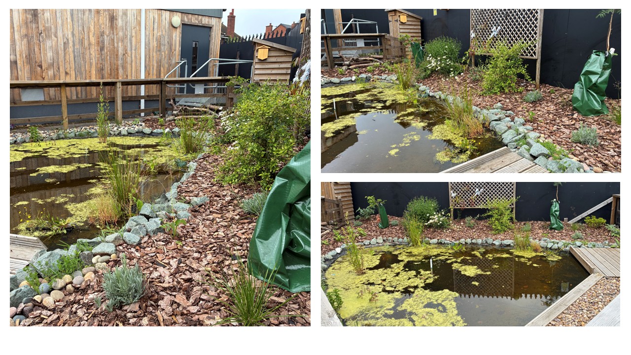 Leamore School pond completed