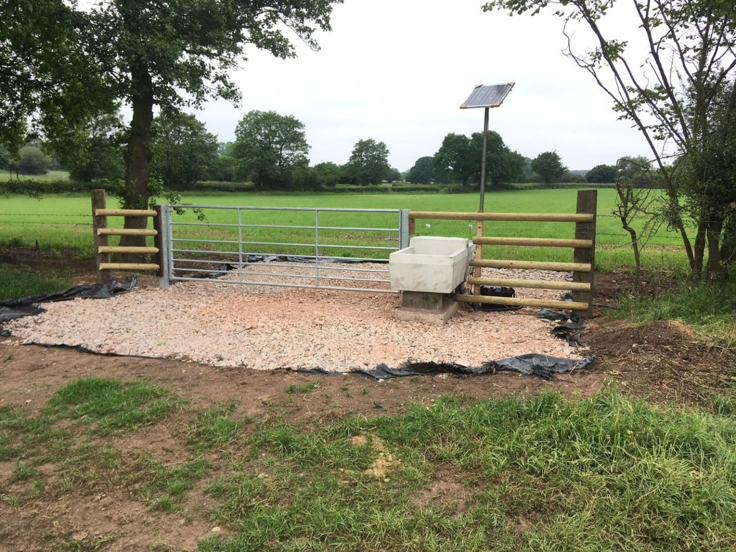 Livestock troughs and hard bases