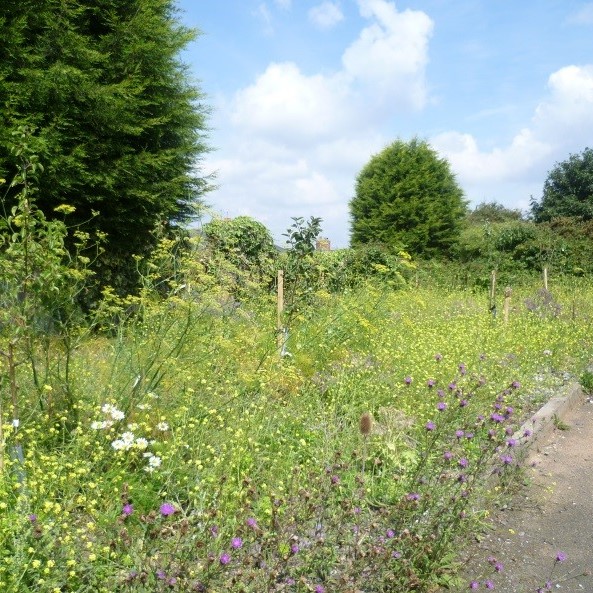 Jasmine Road Community Gardens