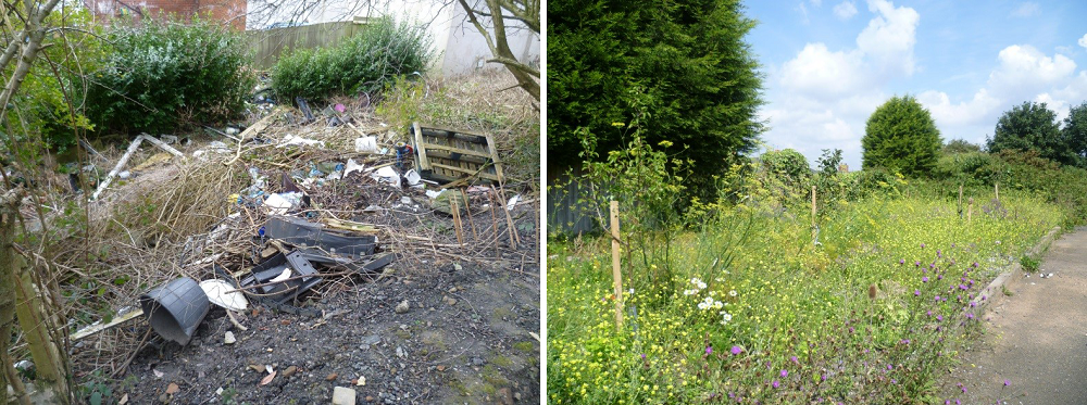 Before and after view at Jasmine Road