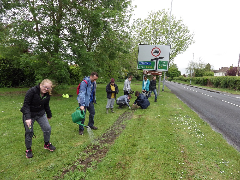 Photo shows watering of the seeds by kids from Queens Croft School.