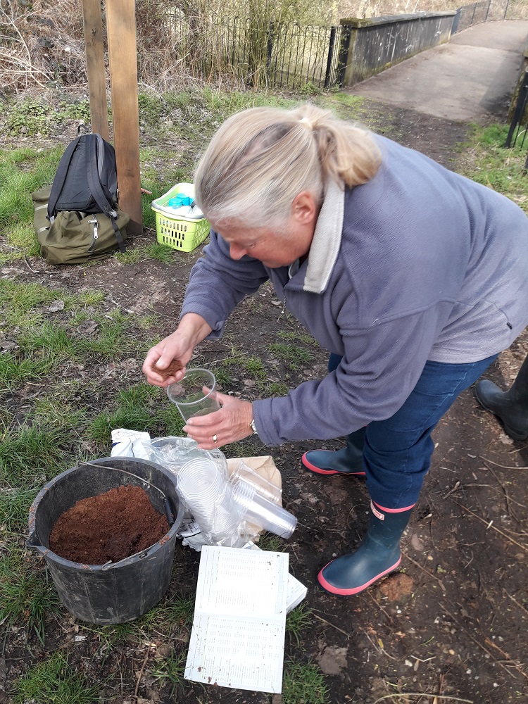 Photo of woodland seed planting