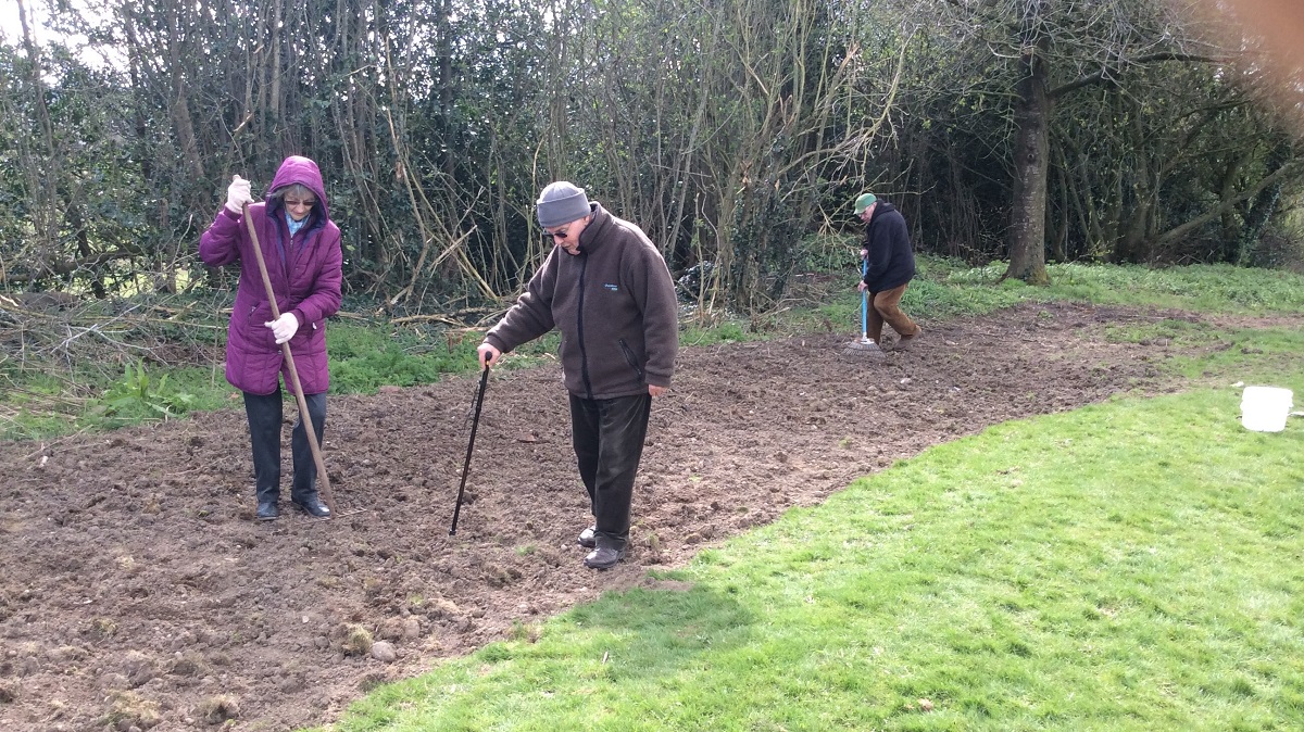 Photo of the planting in progress