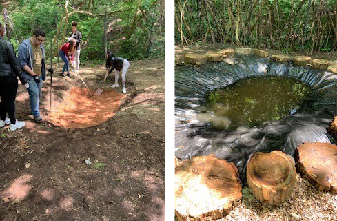 Photo showing the creation of the pond